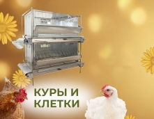 Куры и клетки