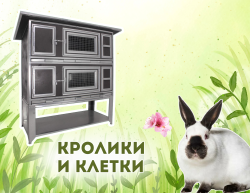 Кролики и клетки