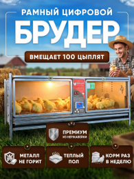 Инкубаторы и брудеры