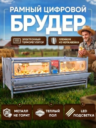 Индюки