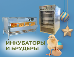 Инкубаторы и брудеры
