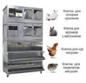 Домашние фермы