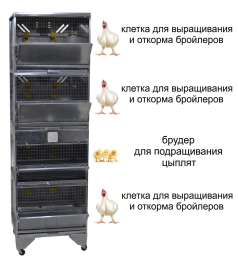 Домашние фермы