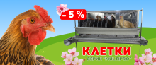 ВЕСНА БЛИЖЕ, ЦЕНЫ НИЖЕ! Скидка 5% на клетки серии "Multipro"! 