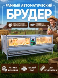 Индюки