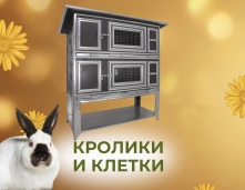 Кролики и клетки