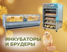 Инкубаторы и брудеры