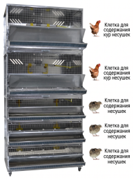 Домашние фермы