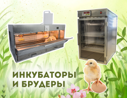 Инкубаторы и брудеры
