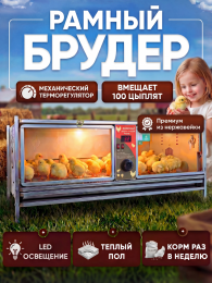 Инкубаторы и брудеры