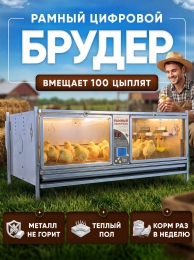 Инкубаторы и брудеры