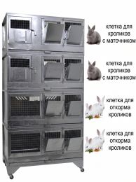 Домашние фермы