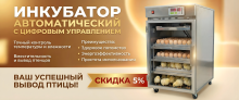 БОЛЬШАЯ РАСПРОДАЖА! Скидки - 5% на инкубаторы для яиц! БОЛЬШАЯ РАСПРОДАЖА! Скидки - 5% на инкубаторы для яиц!