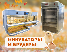 Инкубаторы и брудеры