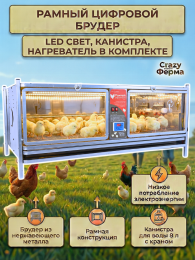 Брудеры для индюшат