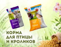 Корма для птицы и кроликов