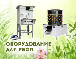 Оборудование для убоя