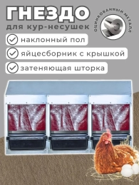 Куры и клетки