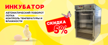ВЕСНА БЛИЖЕ, ЦЕНЫ НИЖЕ! Скидки - 5% на инкубаторы для яиц!