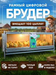 Инкубаторы и брудеры