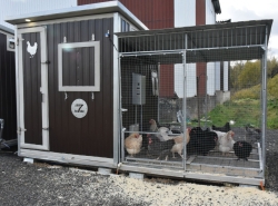 Курятник для кур-несушек четырехъярусный с полками "Неделя без забот" на 100 голов с выгулом Курятник для кур-несушек четырехъярусный с полками "Неделя без забот" на 100 голов с выгулом